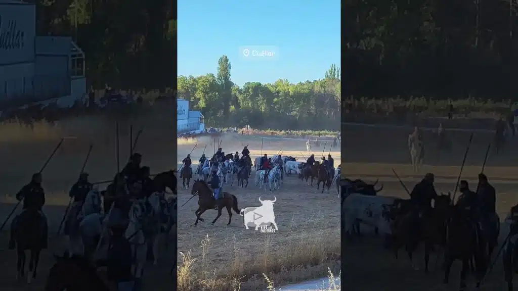 Paso de máquinas cuarto encierro Cuéllar #shorts