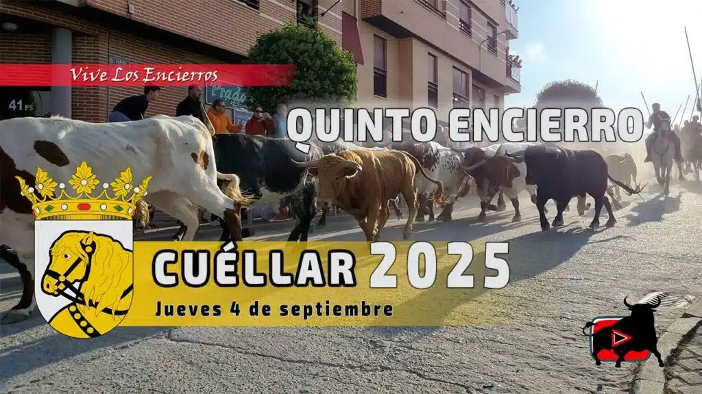 QUINTO y ÚLTIMO ENCIERRO CUELLAR 2025