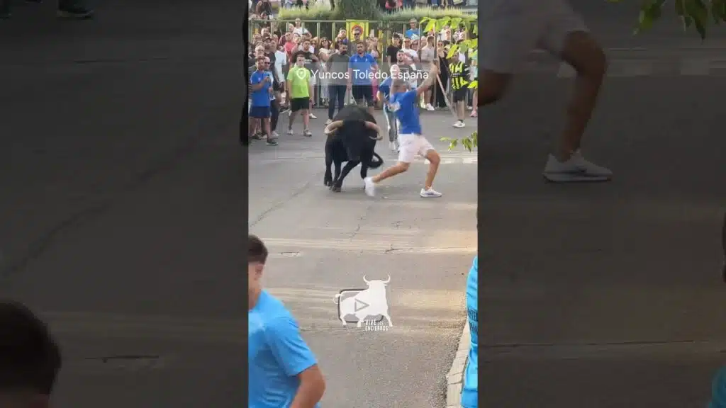 Gran corte al precioso toro de la ganadería de Dolores Aguirre en Yuncos, Toledo
