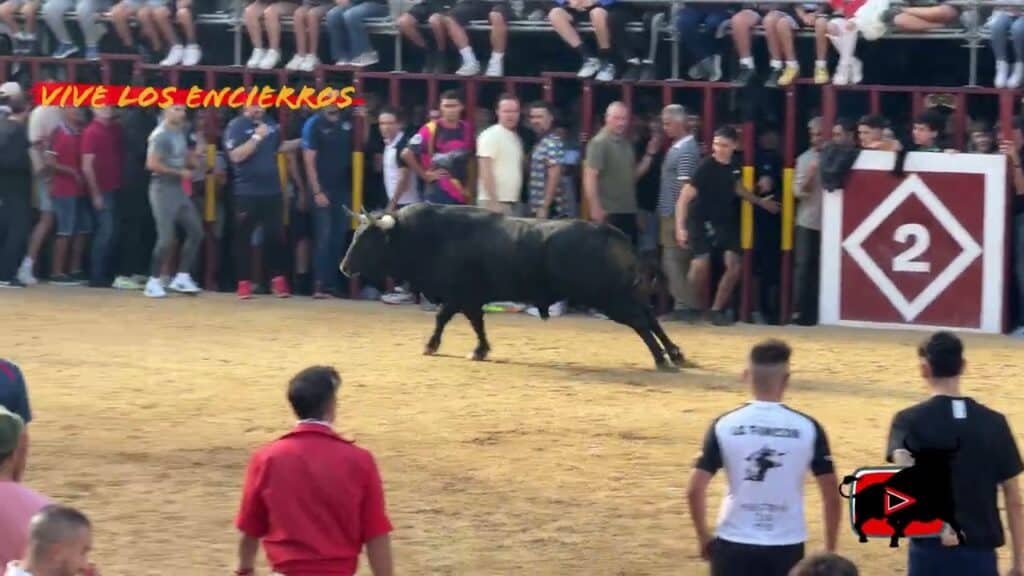 Encierro y capea Arganda del Rey 08/09/25