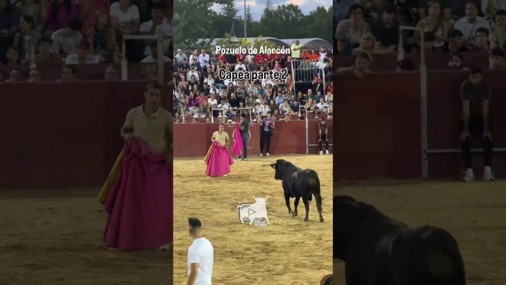 Capea Pozuelo de Alarcón Parte 2 #shorts