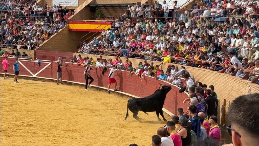 PRIMER ENCIERRO MÓSTOLES 2025