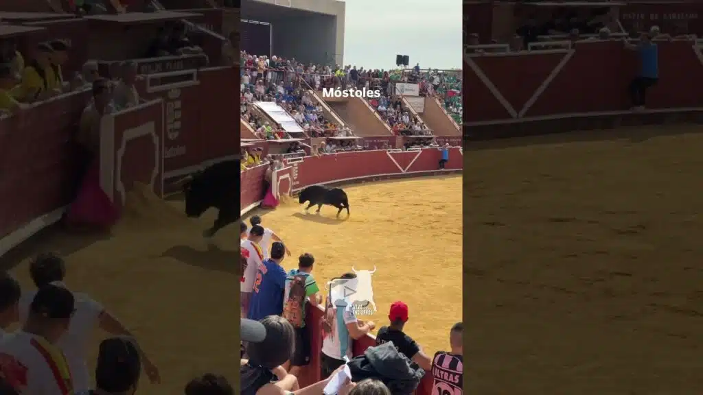 Salida y vuelta al ruedo #mostoles