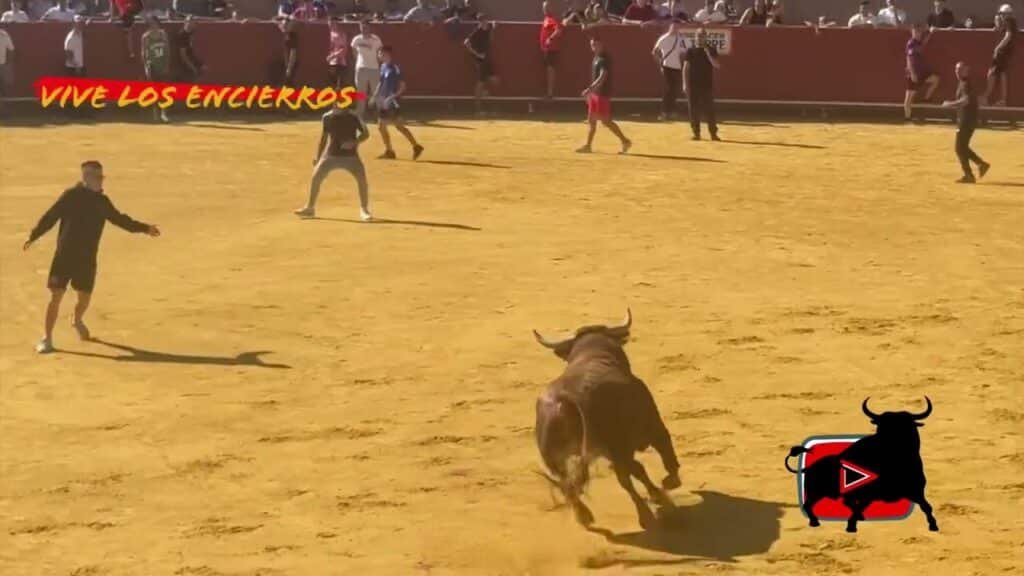 Doble encierro Móstoles 14/09/25
