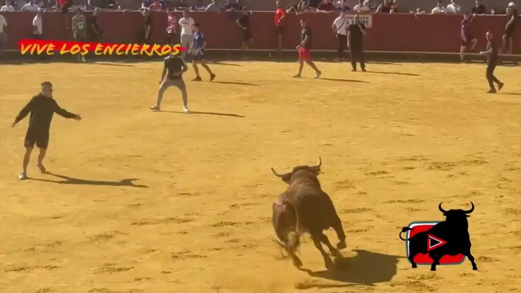 Doble encierro Móstoles 14/09/25