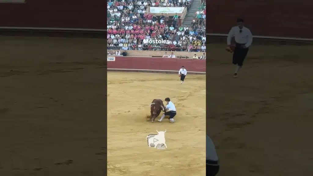 🥵SUSTO en el quiebro de rodillas #shorts