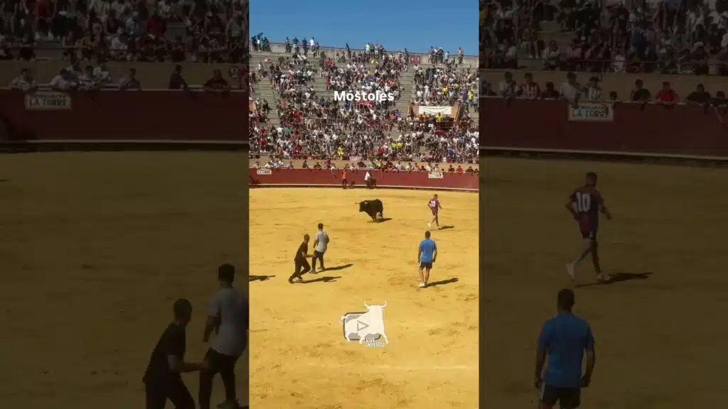 Capea domingo #mostoles parte 2 #shorts