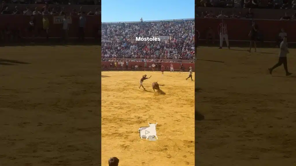 Capea domingo #mostoles #shorts