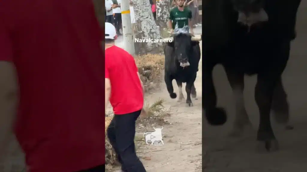 Encierro #Navalcarnero #shorts