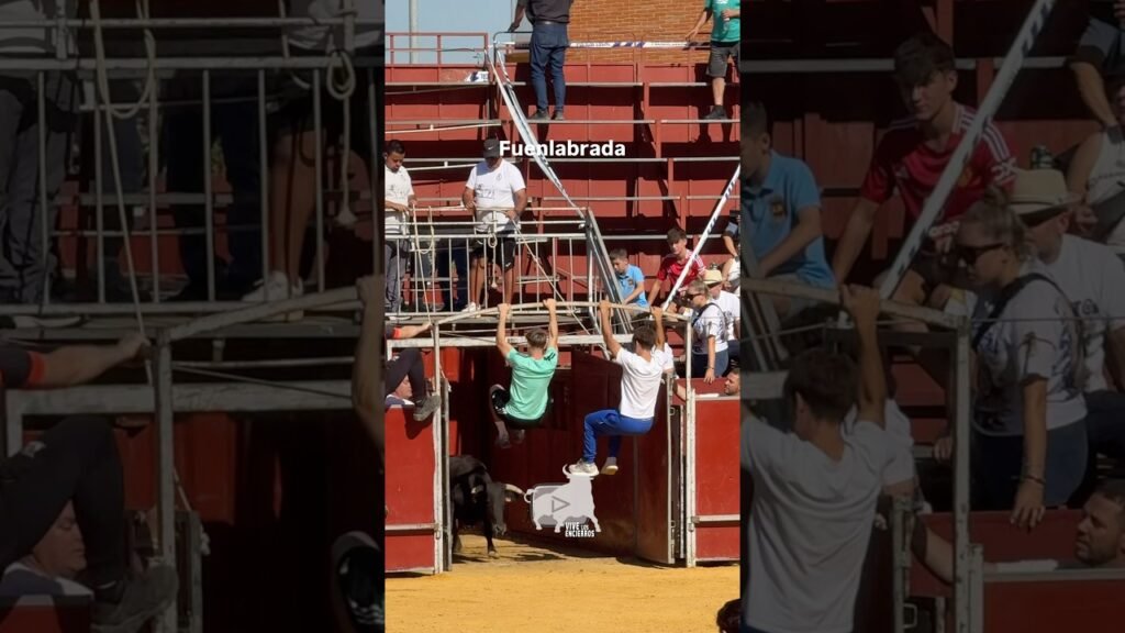 Saltando a la vaca en #fuenlabrada #shorts