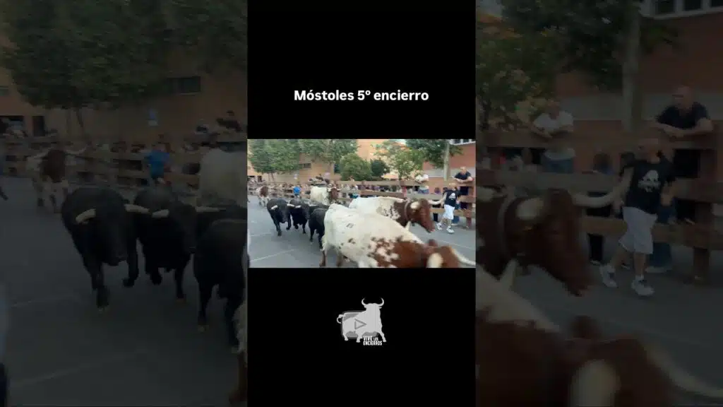 Quinto y último encierro #mostoles