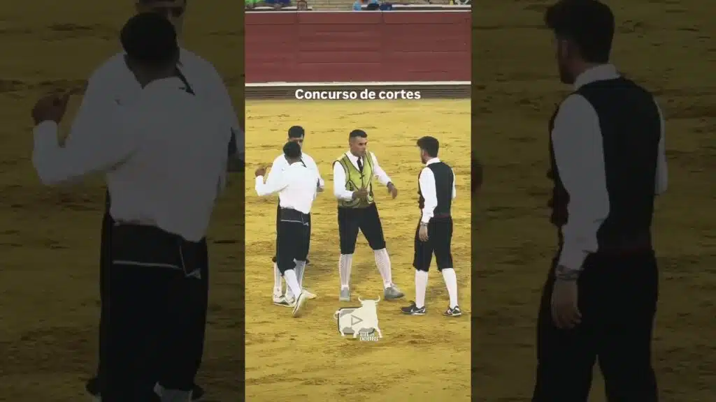 Avance concurso de cortes #mostoles 2025 # shorts