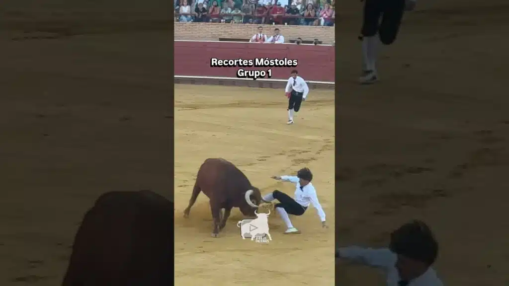 Recortes Móstoles 2025 grupo 1 #shorts