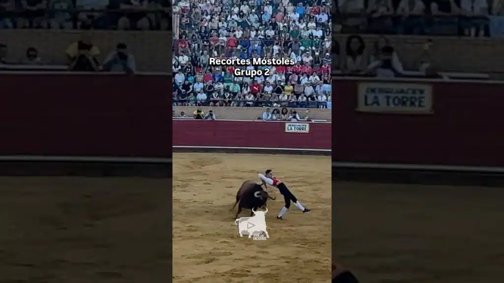 Recortes Móstoles grupo 2 #shorts