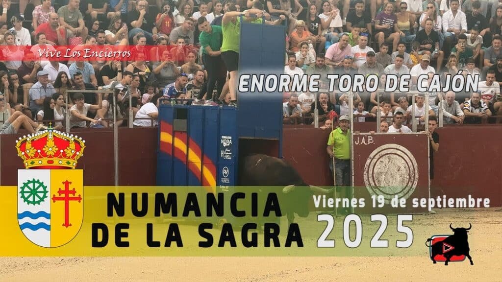 TORO CAJON NUMANCIA DE LA SAGRA 2025