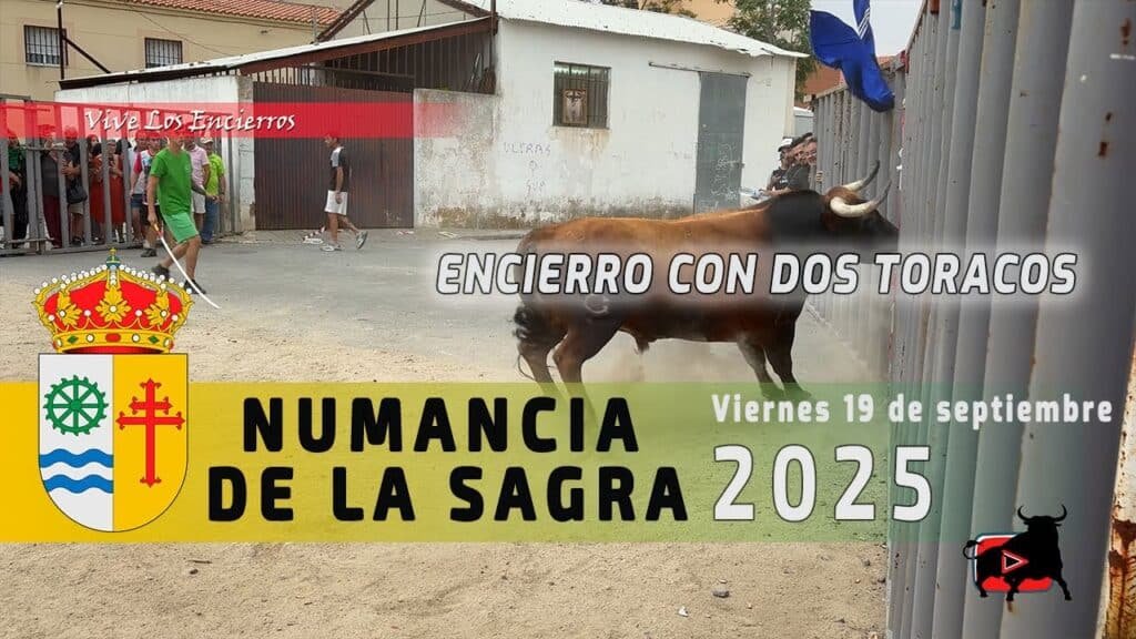 ENCIERRO NUMANCIA DE LA SAGRA 2025