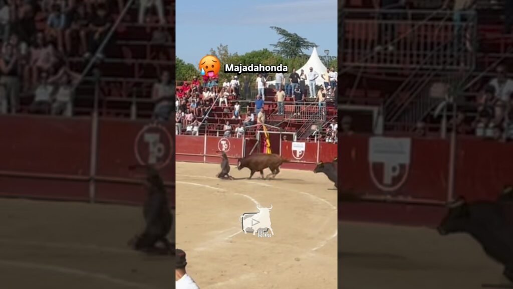 🥵 SUSTO en la plaza #majadahonda #shorts