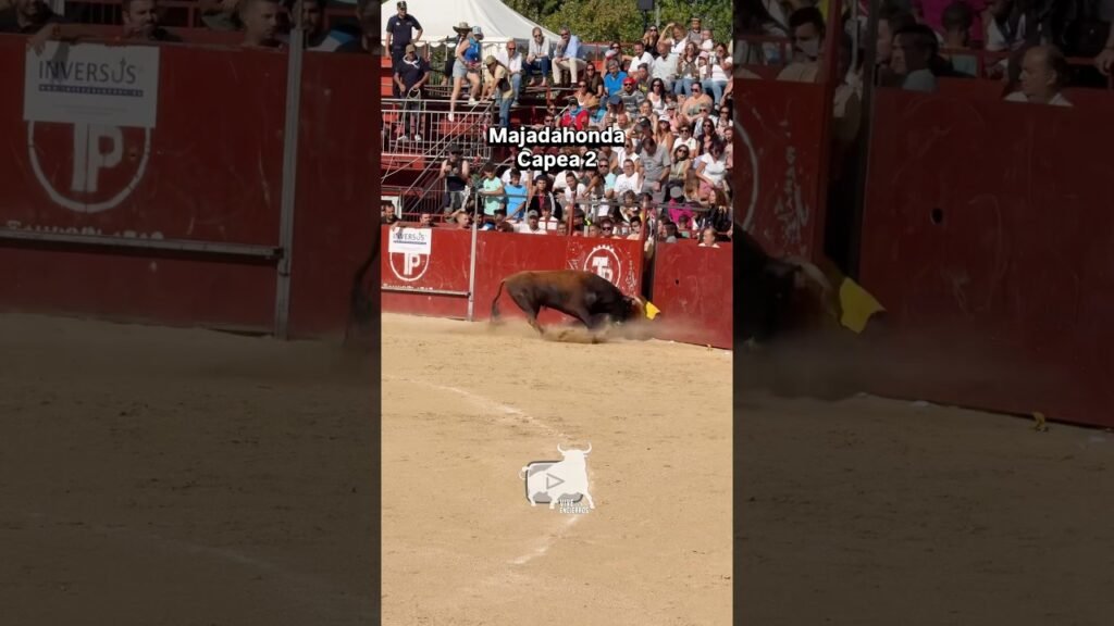 Capea #majadahonda parte 2 #shorts