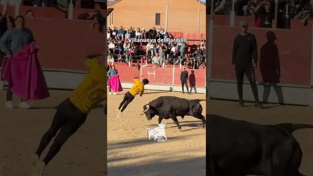 EXTRAORDINARIO SALTO AL TORO #shorts