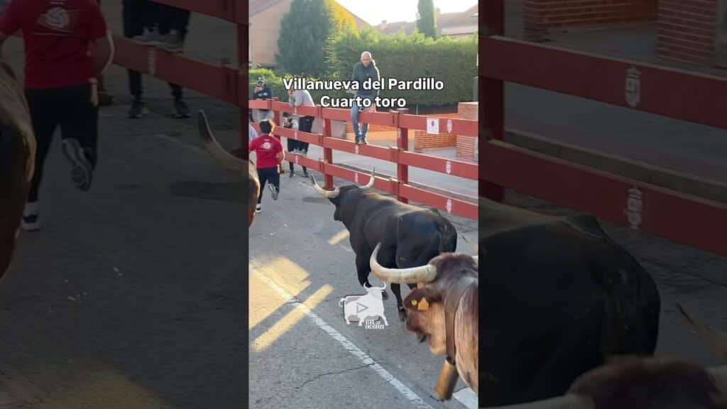 Cuarto toro encierro #villanuevadelpardillo #shorts