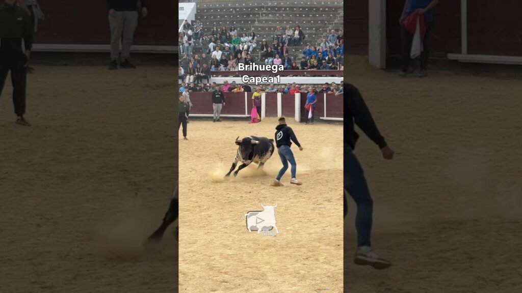 Capea #brihuega parte 1 #shorts