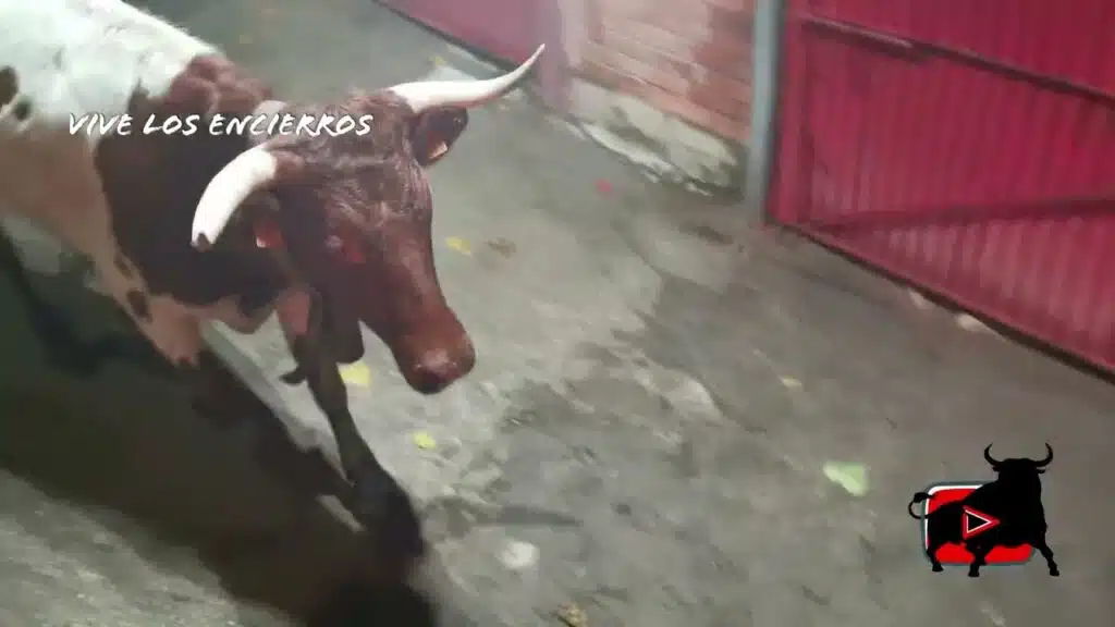 Encierro nocturno Aguilafuente San Frutos 25/10/25