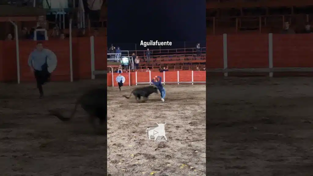 El toro le rompe los pantalones #shorts