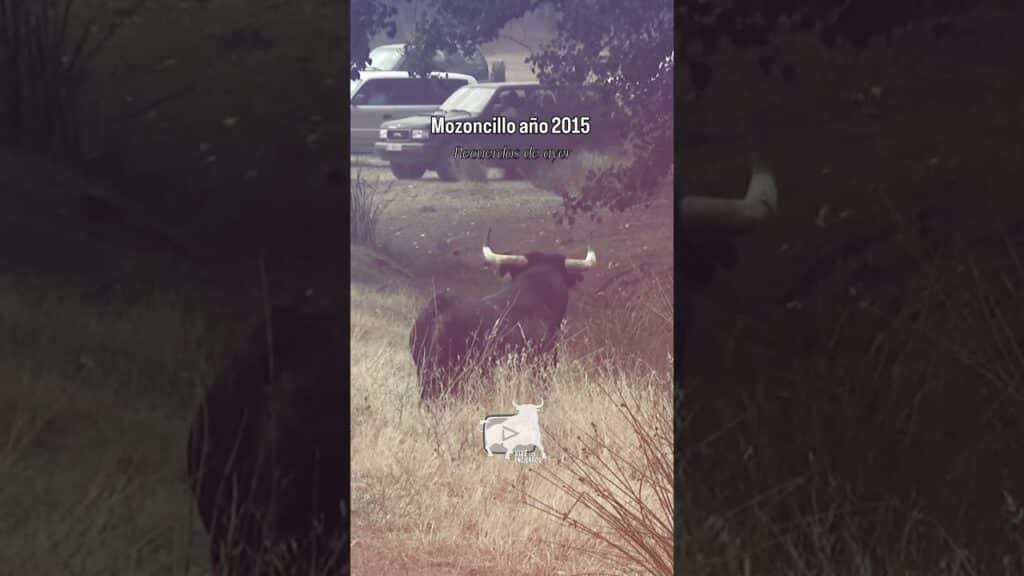 🥵 Momentos de pánico dentro del coche #mozoncillo #shorts