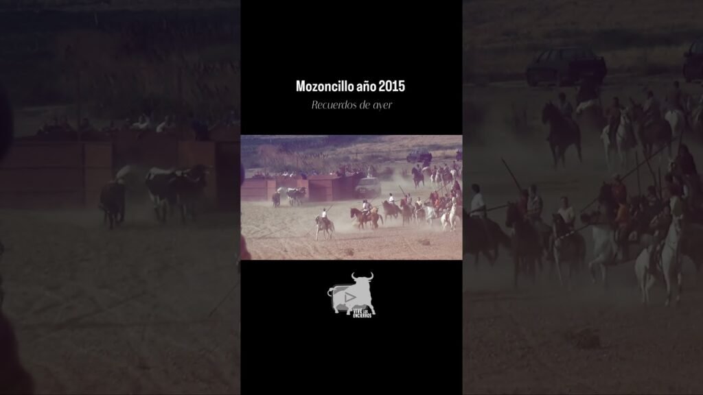 🐂 Suelta por el campo desde los corrales Mozoncillo 2015