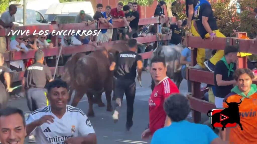Encierro Boadilla del Monte 3/10/25