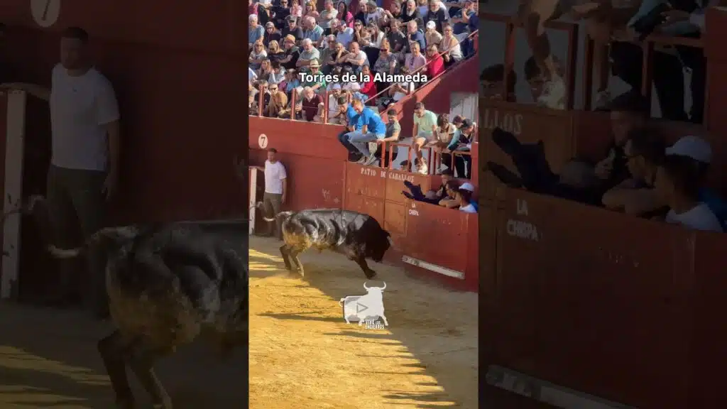 Segundo toro capea Torres de la Alameda #shorts