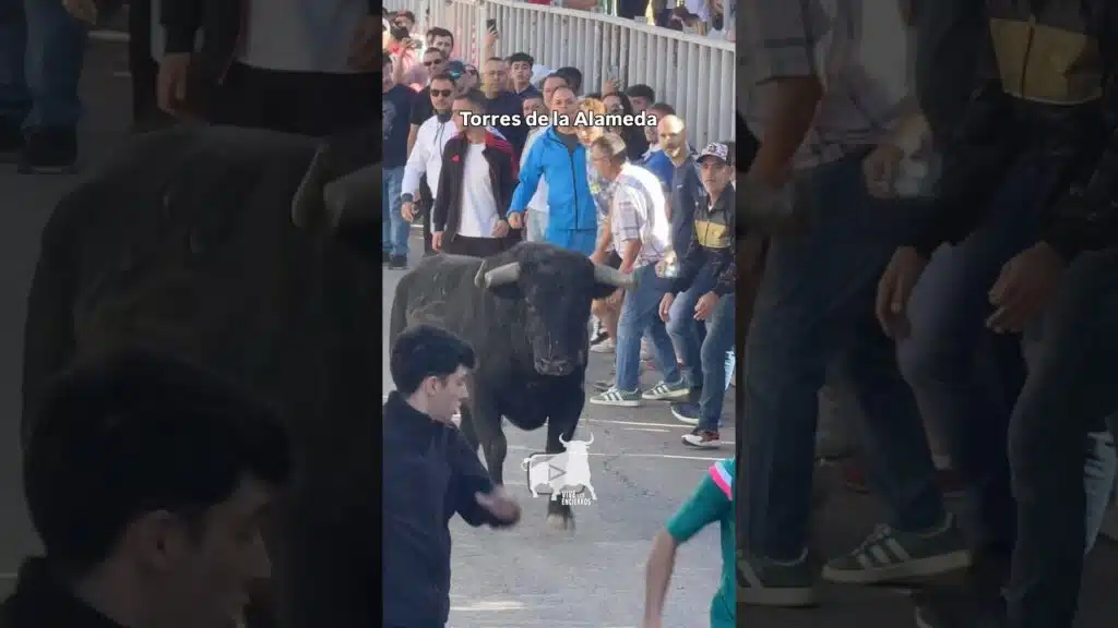 Segundo toro encierro Torres de la Alameda #shorts