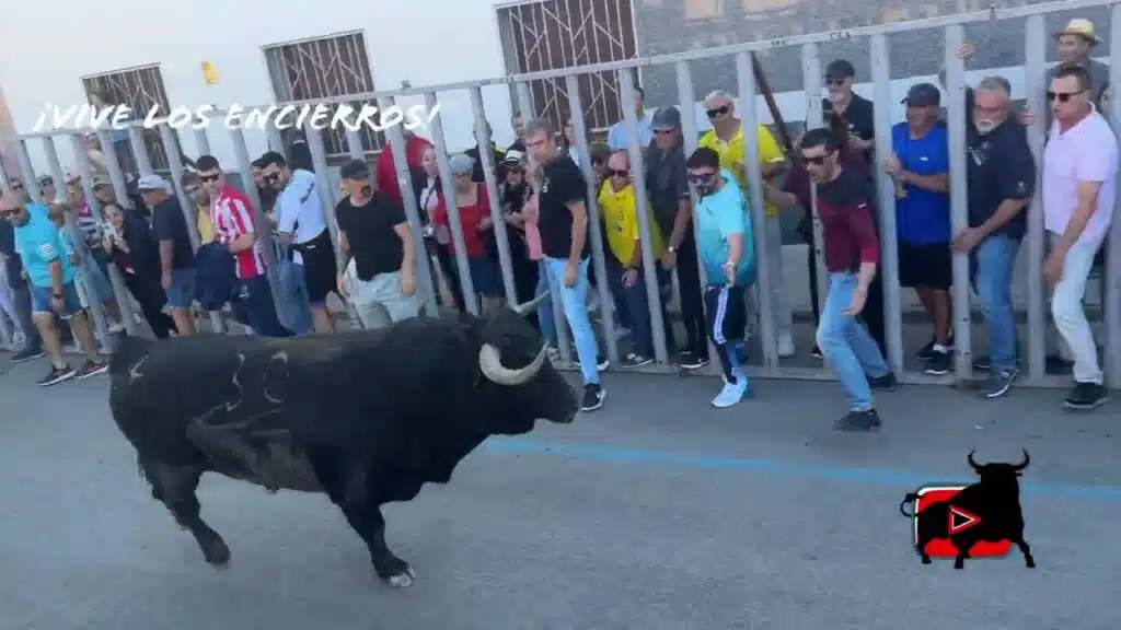 📽️ ENCIERRO con TRES TOROS de CAJÓN TORRES de la ALAMEDA 04/10/25