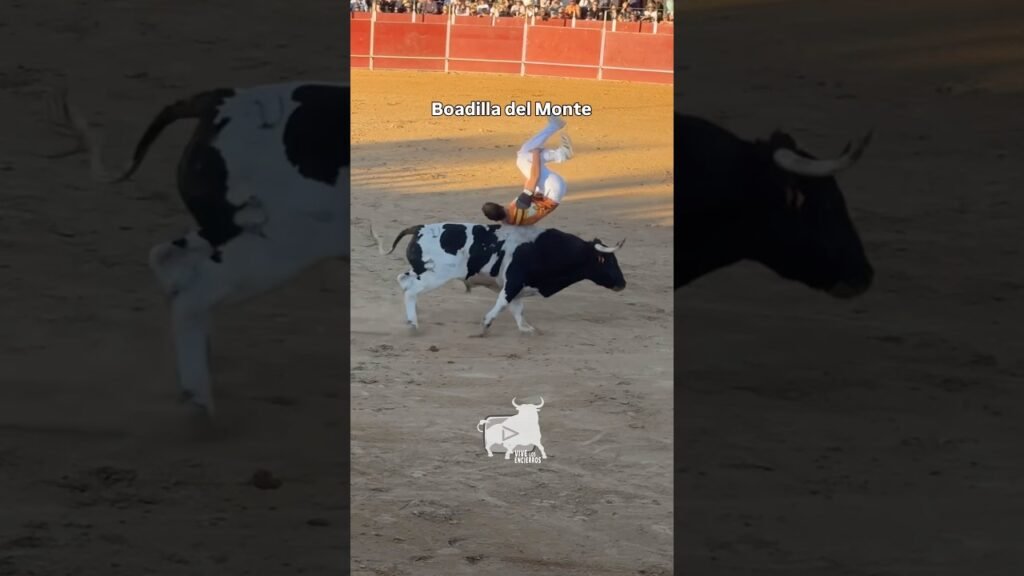 Increíble salto de Jamal Chee en Boadilla del Monte