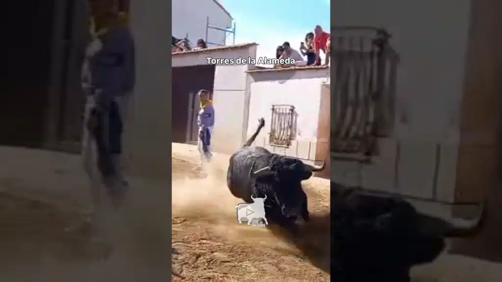 Segundo toro de cajón Torres de la Alameda #shorts