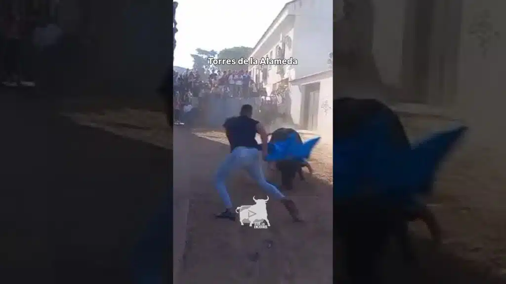 Suelta del primer toro de cajón Torres de la Alameda #shorts