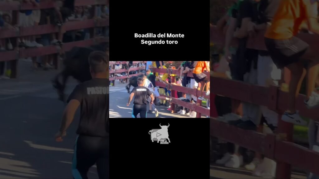 Segundo toro encierro #boadilladelmonte #shorts