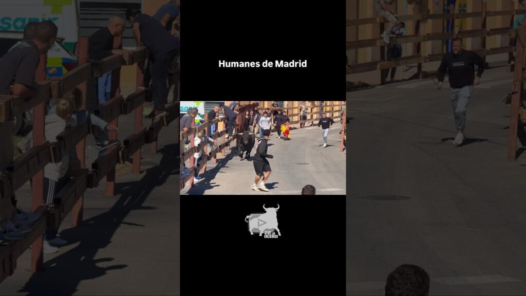 Encierro de un toro # humanesdemadrid #shorts