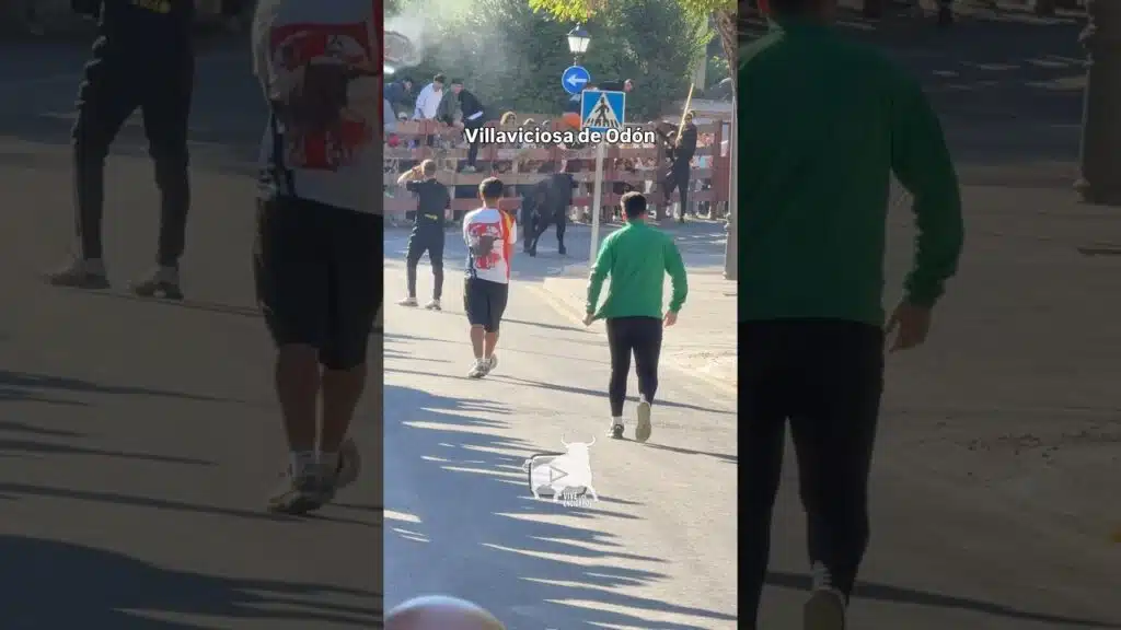 Toro dándose la vuelta en #villaviciosa #shorts