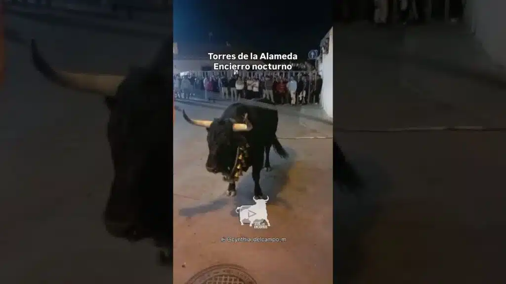 Suelta nocturna toro de cajón en #torresdelaalameda
