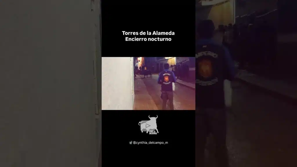 Encierro nocturno #torresdelaalameda #shorts