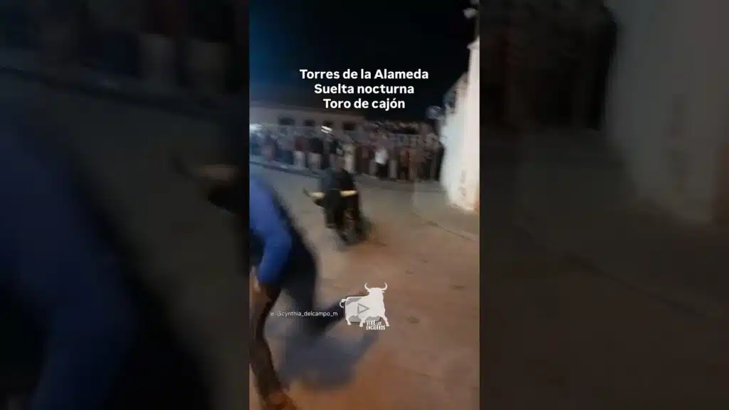 SUELTA NOCTURNA con DOS TOROS de CAJÓN