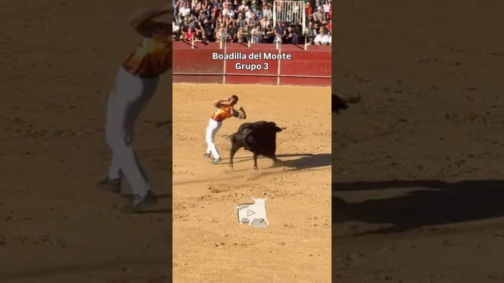 Grupo 3 del concurso de recortes #boadilladelmonte #shorts