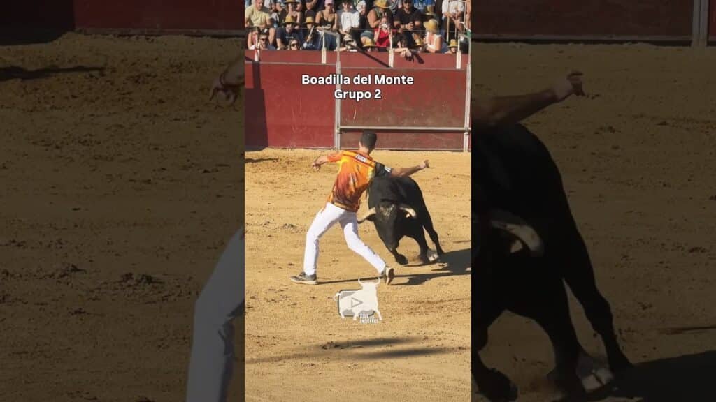 Grupo 2 concurso de recortes #boadilladelmonte #shorts