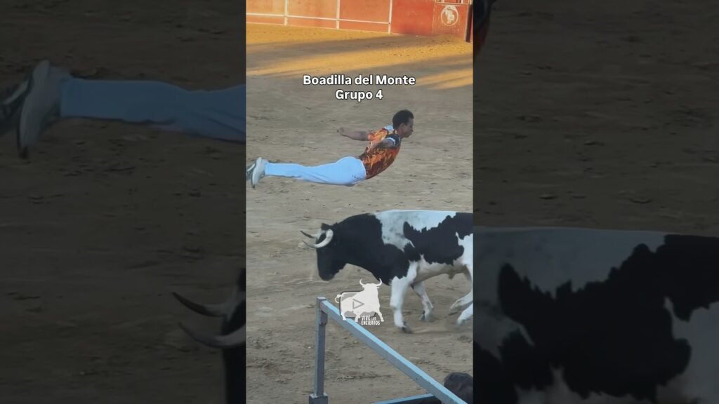 Final de concurso de recortes #boadilladelmonte #shorts