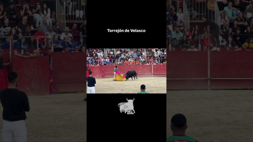 Faena del torero bético en Torrejón de Velasco