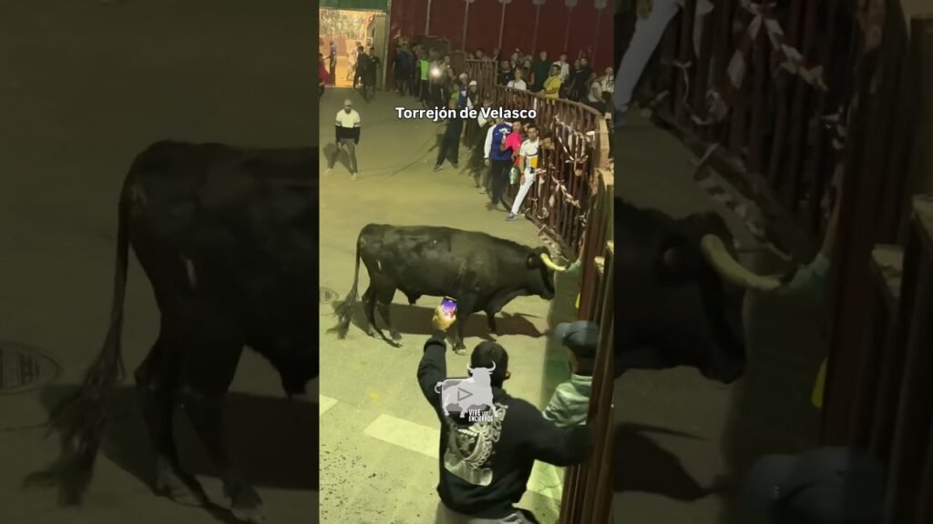 El toro tramando la fuga #shorts