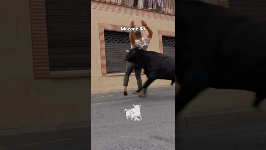 Cortes y quiebros Rodelguilla Mozoncillo #shorts