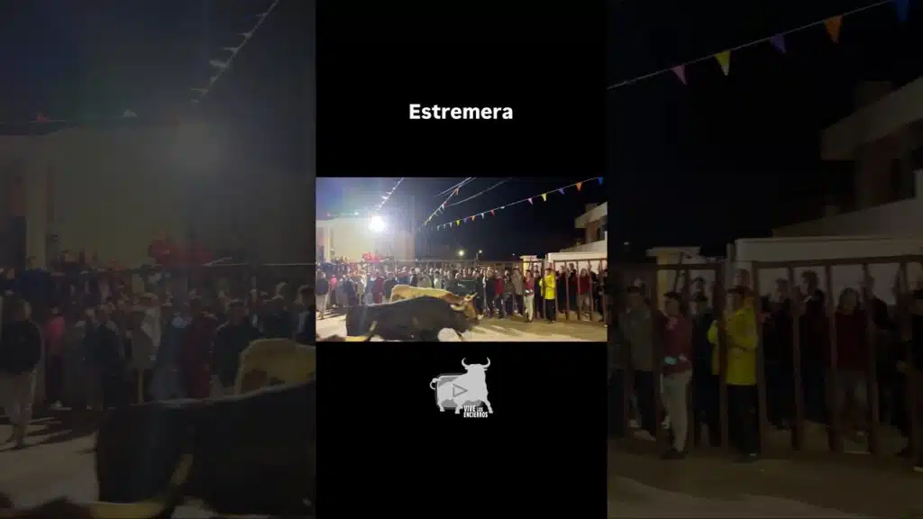 Segundo toro encierro Estremera #shorts