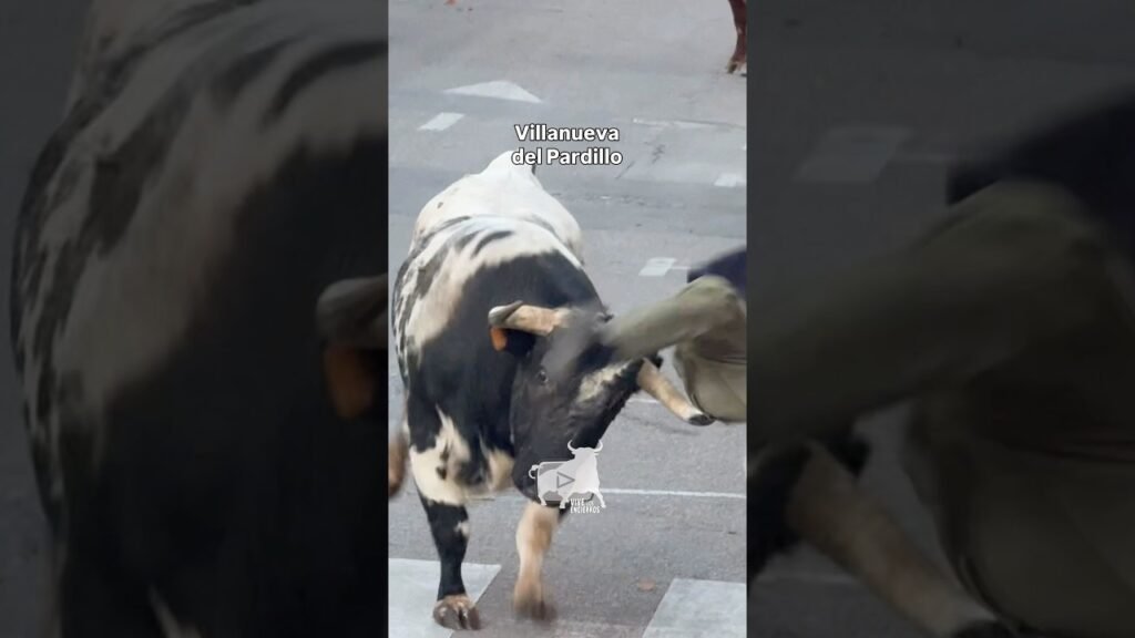 ⚠️ Mozo alcanzado por un toro en encierro #villanuevadelpardillo #shorts